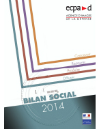 Bannière Bilan social 2014